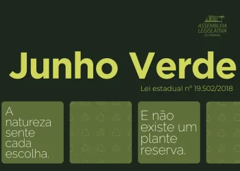 Junho Verde: mês de conscientização e políticas públicas para o meio ambiente