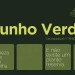 Junho Verde: mês de conscientização e políticas públicas para o meio ambiente
