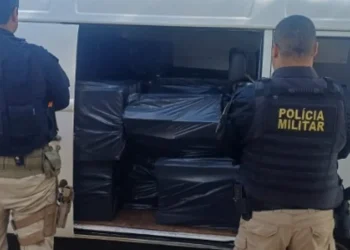 Apreensão de Cigarros Contrabandeados no Norte Pioneiro