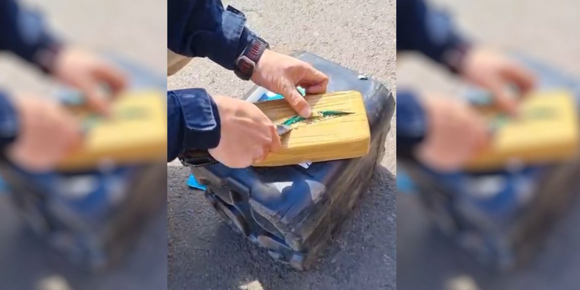 Paraná: PRF localiza quase 50 quilos de cocaína escondidos em carreta e prende motorista na BR-277 “Assista o vídeo”