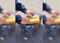 Paraná: PRF localiza quase 50 quilos de cocaína escondidos em carreta e prende motorista na BR-277 “Assista o vídeo”