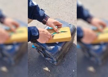 Paraná: PRF localiza quase 50 quilos de cocaína escondidos em carreta e prende motorista na BR-277 “Assista o vídeo”