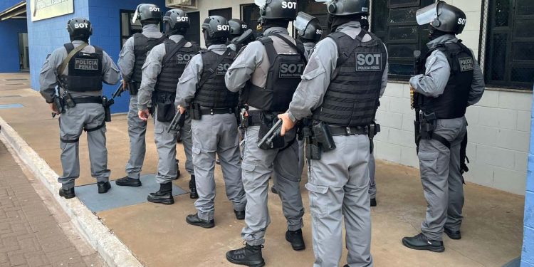 1.049 policiais penais são promovidos no Paraná após modernização da carreira
Foto: PPPR