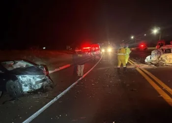 Norte Pioneiro: Colisão frontal na BR-369 deixa uma vítima fatal