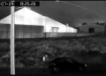 Norte Pioneiro: Motorista é suspeito de abandonar três filhotes de gato dentro de saco de lixo em Wenceslau Braz