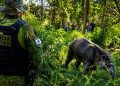 EPR Litoral Pioneiro realiza atendimentos a animais feridos encontrados nas rodovias “Confira as fotos”