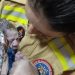 Bebê nasce dentro de carro com ajuda dos Bombeiros em Santo Antônio da Platina