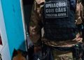 PCPR prende jovem de 19 anos na segunda fase de operação contra grupo investigado por extorsões em Jacarezinho