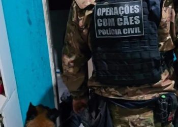 PCPR prende jovem de 19 anos na segunda fase de operação contra grupo investigado por extorsões em Jacarezinho
