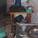 Relatório aponta incêndio em Cambará e acidentes em Jacarezinho e Santo Antônio da Platina “Assista o vídeo”