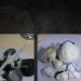 Polícia Civil cumpre mandado em unidade prisional e apreende drogas em Jacarezinho