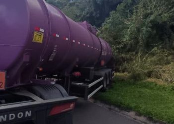 Caminhoneiro sofre mal súbito após ataque de abelhas e veículo colide em barranco na PR-151