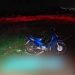 Paraná: Acidente com animal na pista resulta em morte de motociclista