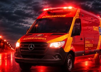 Norte Pioneiro: Bombeiros registram atendimentos em Jacarezinho e captura de animal silvestre em Cambará