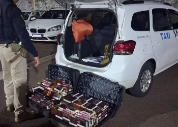 Paraná: Operação conjunta apreende carga ilegal de cigarros na BR-277