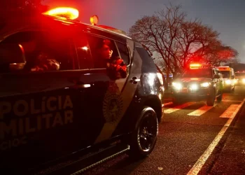 Como fazer denúncias: forças de segurança têm canais exclusivos de combate ao crime