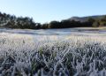 Frio intenso e geada marcam o amanhecer no Paraná com temperaturas de até -2,3°C
