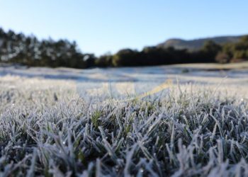 Frio intenso e geada marcam o amanhecer no Paraná com temperaturas de até -2,3°C