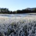 Frio intenso e geada marcam o amanhecer no Paraná com temperaturas de até -2,3°C
