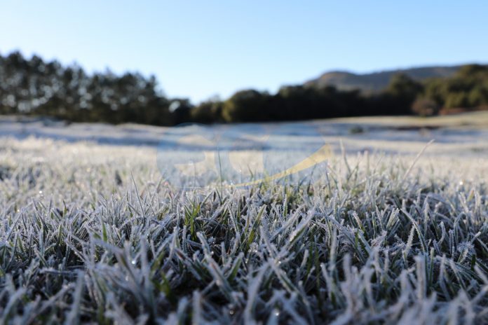 Frio intenso e geada marcam o amanhecer no Paraná com temperaturas de até -2,3°C
