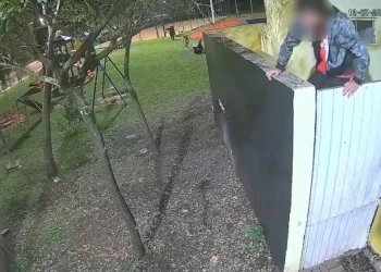 Polícia Civil identifica suspeitos de destruir 22 mudas e danificar banheiro em avenida de Santo Antônio da Platina
