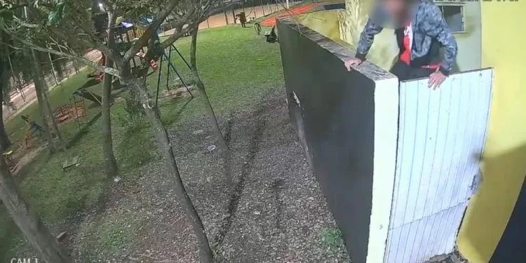 Polícia Civil identifica suspeitos de destruir 22 mudas e danificar banheiro em avenida de Santo Antônio da Platina