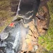 Colisão na PR-092 resulta em tragédia Motociclista sem habilitação morre em acidente no Norte Pioneiro