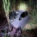Jovens escapam ilesos de acidente no Norte Pioneiro