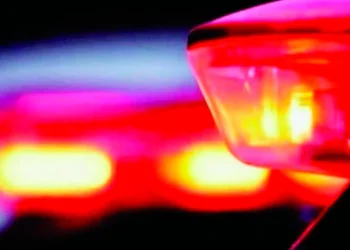 Criminosos armados assaltam ônibus na BR-369 em Uraí e roubam celulares de passageiros