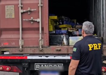 Paraná: PRF encontra carga de 6,4 toneladas de maconha escondida em contêiner