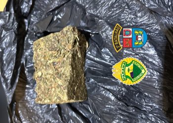 Polícia Militar apreende porção de maconha arremessada em comércio de Santo Antônio da Platina