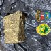 Polícia Militar apreende porção de maconha arremessada em comércio de Santo Antônio da Platina