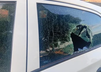 Ação conjunta prende mulher em flagrante por tráfico de drogas em Ibaiti