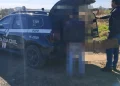 Norte Pioneiro: PCPR prende homem por descumprimento de pena em Quatiguá