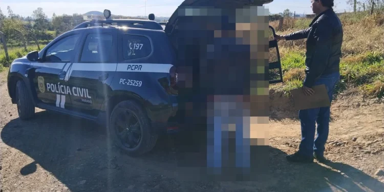 Norte Pioneiro: PCPR prende homem por descumprimento de pena em Quatiguá