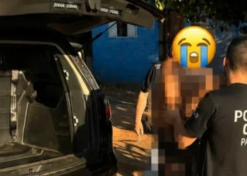 PCPR Jacarezinho prende investigado por grave agressão contra a própria sogra