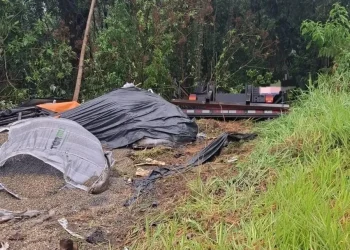 Norte Pioneiro:Caminhoneiro morre após caminhão sair da pista e tombar na PR-090