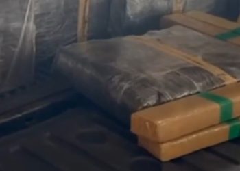 Fuga termina com caminhonete abandonada e mais de 1,5 tonelada de maconha apreendida no Paraná “Assista o vídeo”