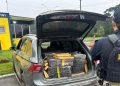 Paraná: PRF apreende 897 quilos de drogas em duas ocorrências na BR-277