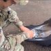 PRF encontra mais de 5 kg de haxixe escondidos em tanque de motocicleta na BR-277 “Assista o vídeo”