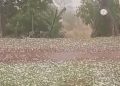 Chuva de granizo causa danos materiais no bairro Marques dos Reis, em Jacarezinho “Assista o vídeo”