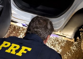 Paraná: PRF encontra 143 celulares escondidos em veículo durante fiscalização na BR-277