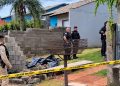 Criança de 10 anos morre após ser atacada por pitbull da própria família enquanto brincava em casa