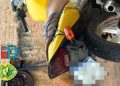 Polícia Militar prende condutor por direção perigosa e apreende motocicleta em Ribeirão do Pinhal