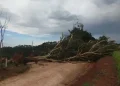 Temporal destelha ao menos sete casas e deixa rastro de destruição em Piraí do Sul