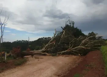 Temporal destelha ao menos sete casas e deixa rastro de destruição em Piraí do Sul