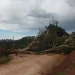 Temporal destelha ao menos sete casas e deixa rastro de destruição em Piraí do Sul