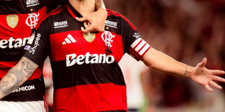 O Flamengo foi o primeiro clube brasileiro a ingressar com uma ação no STF questionando o fim das bets. (Foto: Adriano Fontes/Flamengo)