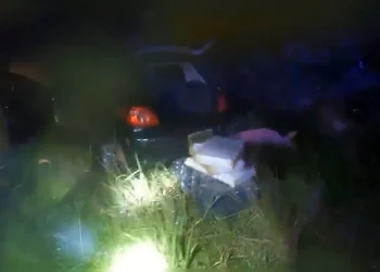 PRF apreende cerca de 270 kg de maconha após fuga terminar em capotamento na BR-277, no Paraná “Assista o vídeo”