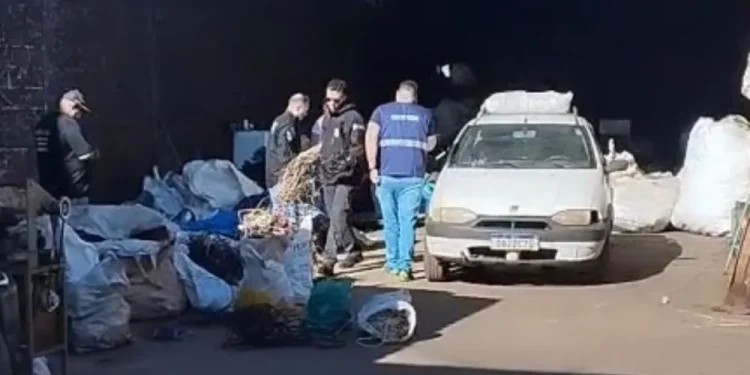 Polícia Civil e Receita Estadual fiscalizam estabelecimento e prendem proprietário por suspeita de receptação em Santo Antônio da Platina